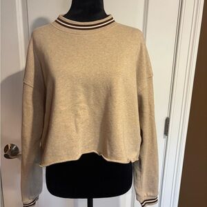 American Eagle Outfitters Beige Sweatshirt with Striped Detail